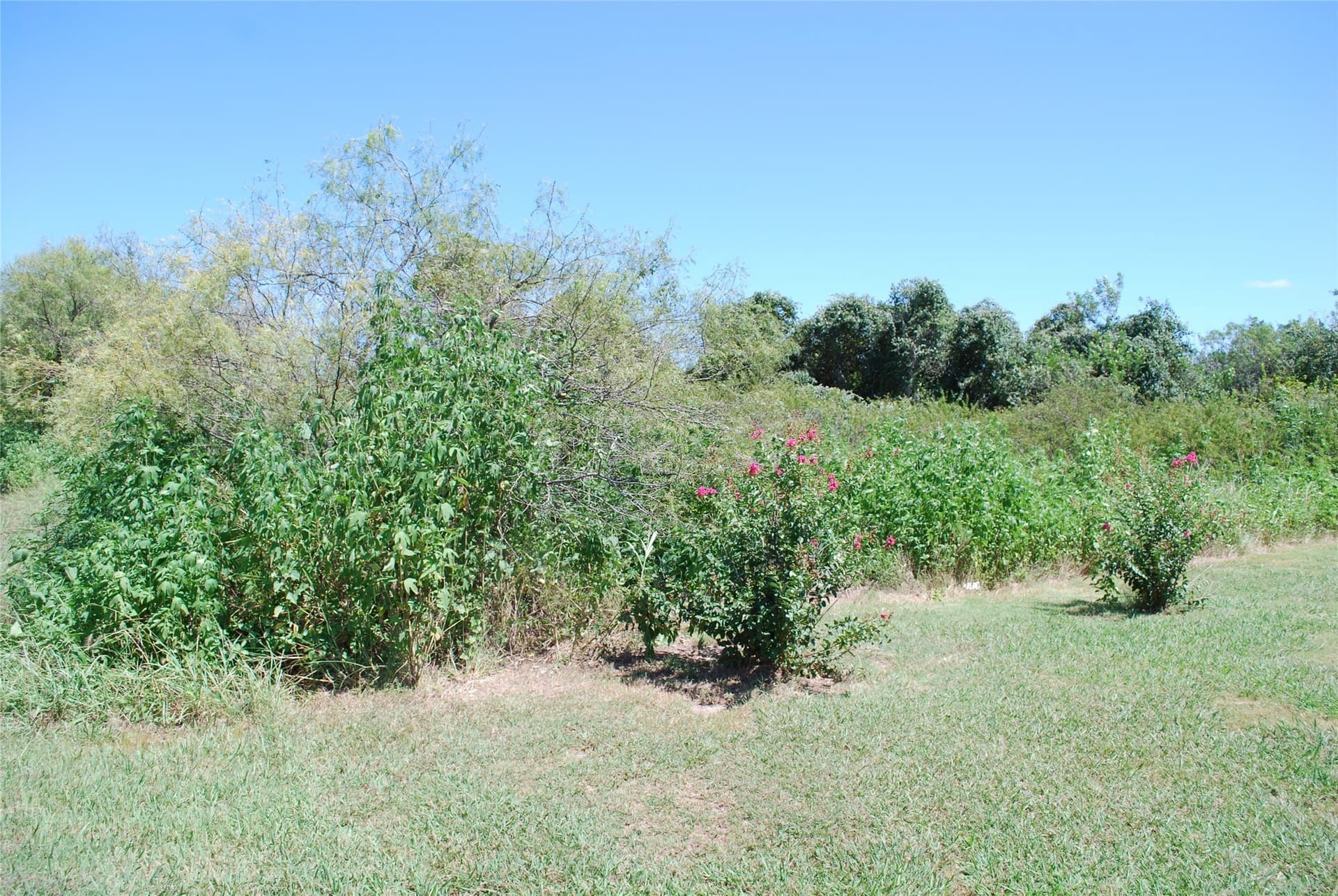 0.26 acres in Hill County gallery image 4