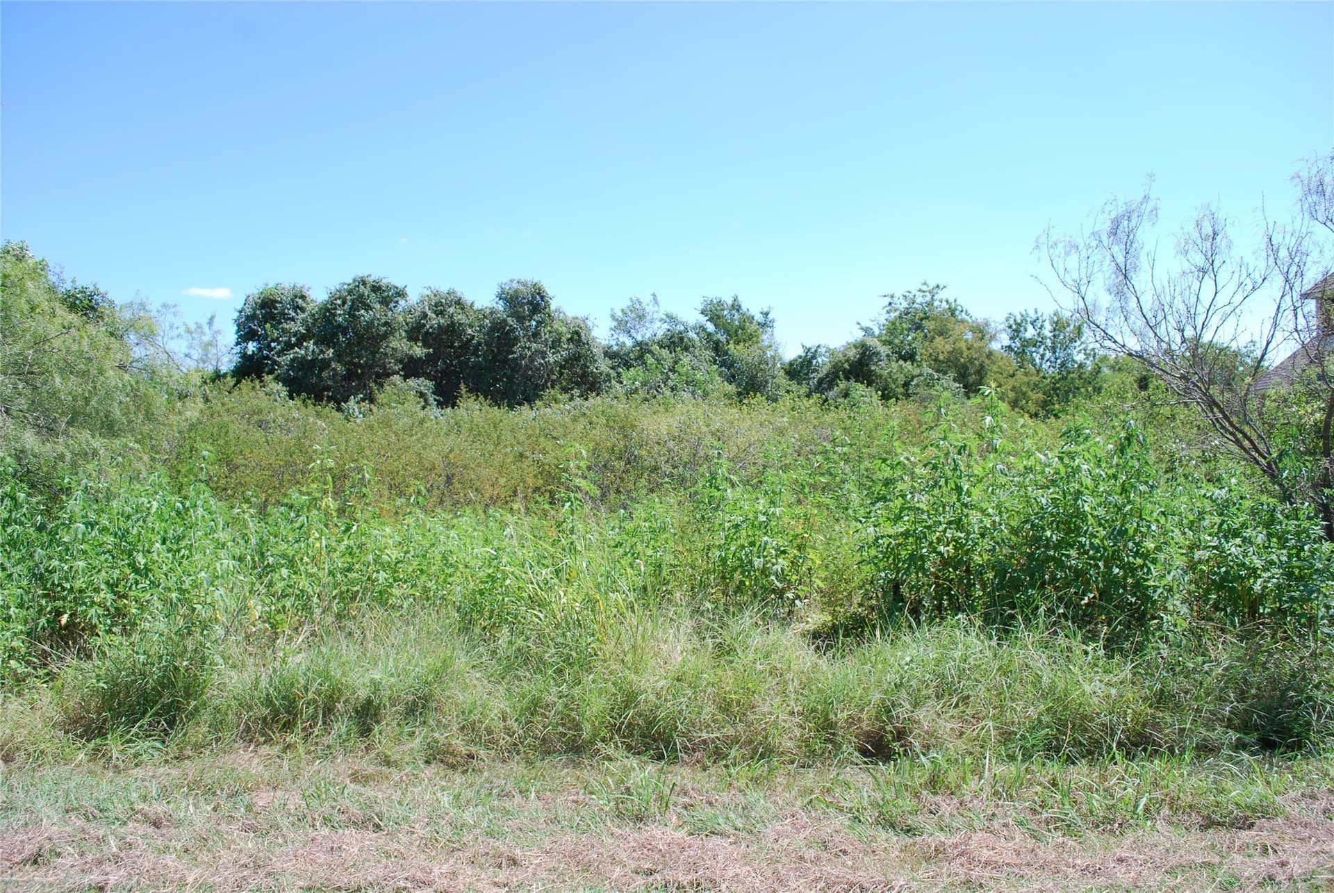 0.26 acres in Hill County gallery image 3