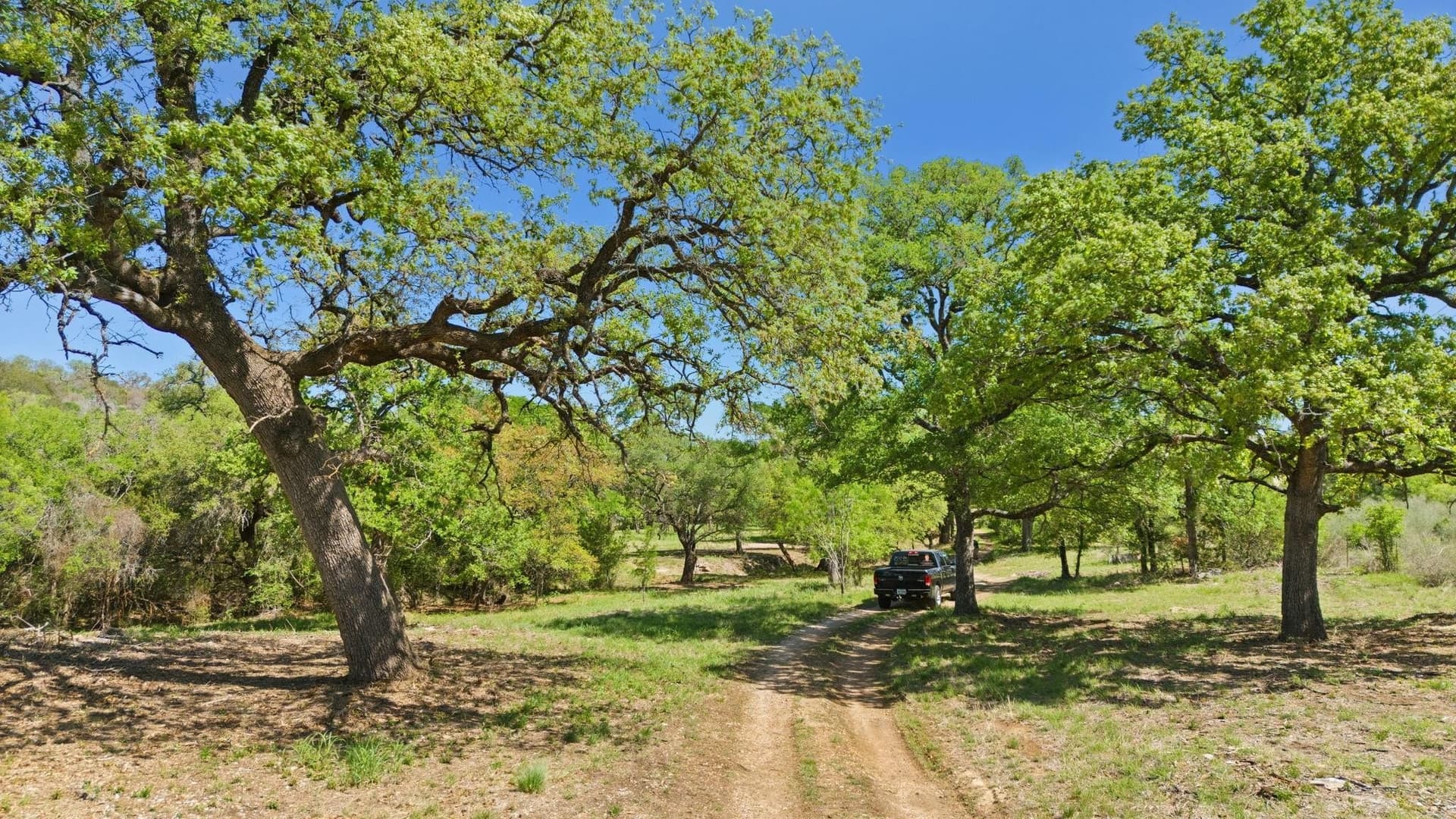 16.05 acres in Burnet County featured view