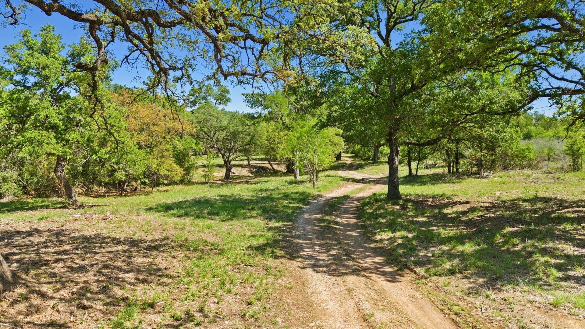 16.05 acres in Burnet County gallery image 4