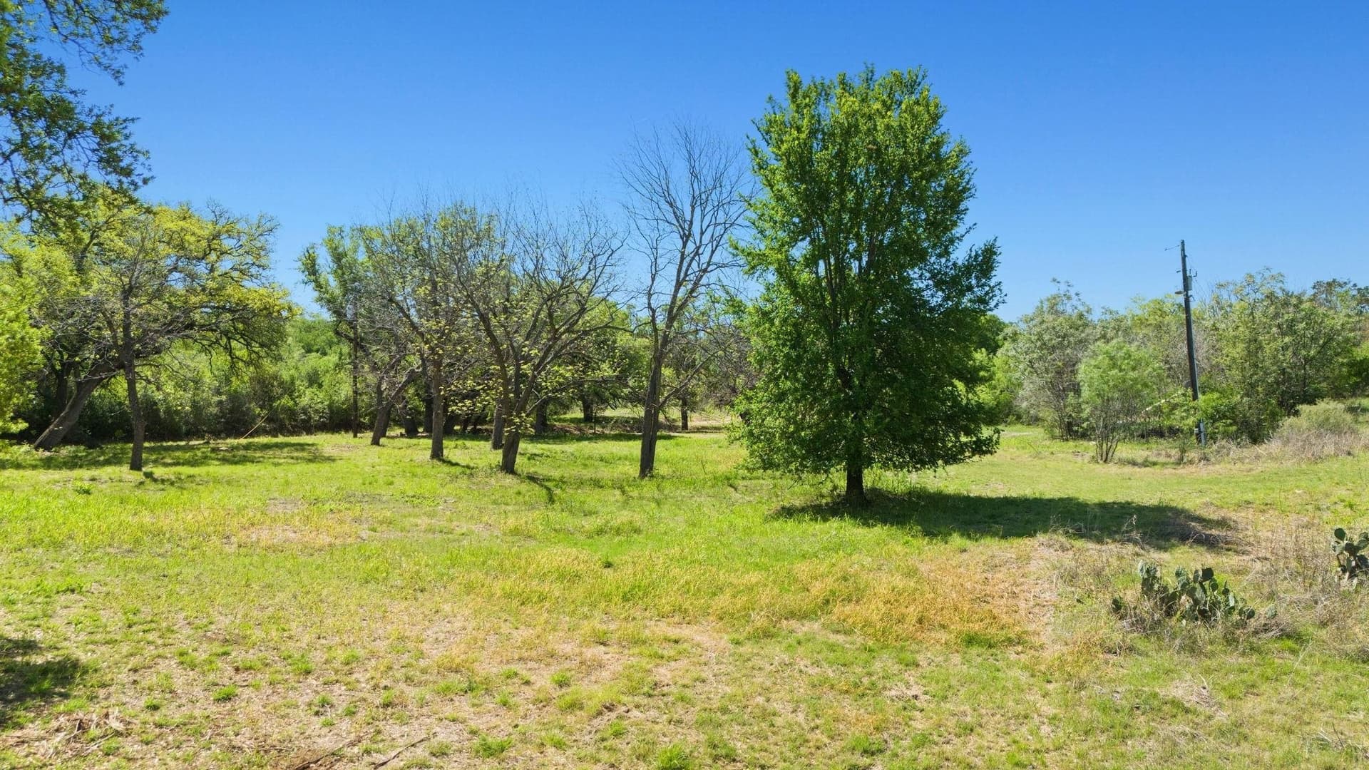 16.05 acres in Burnet County gallery image 2