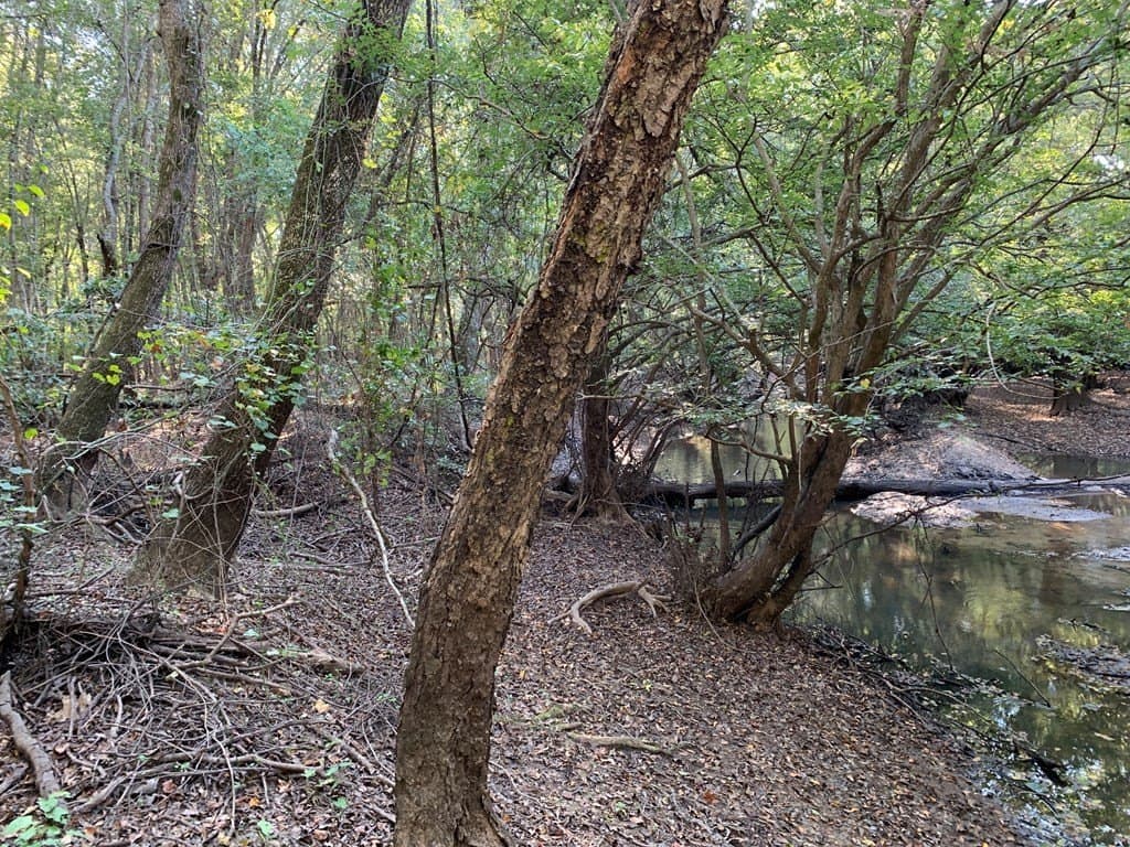 119.5 acres in HENDERSON County - photo 47