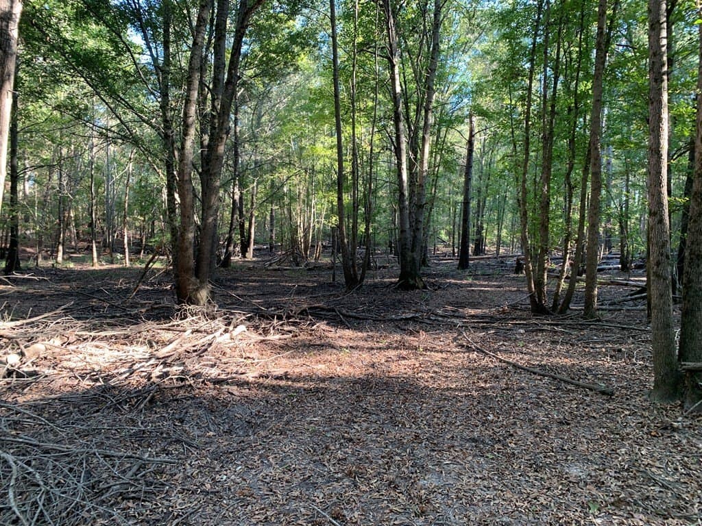 119.5 acres in HENDERSON County - photo 49