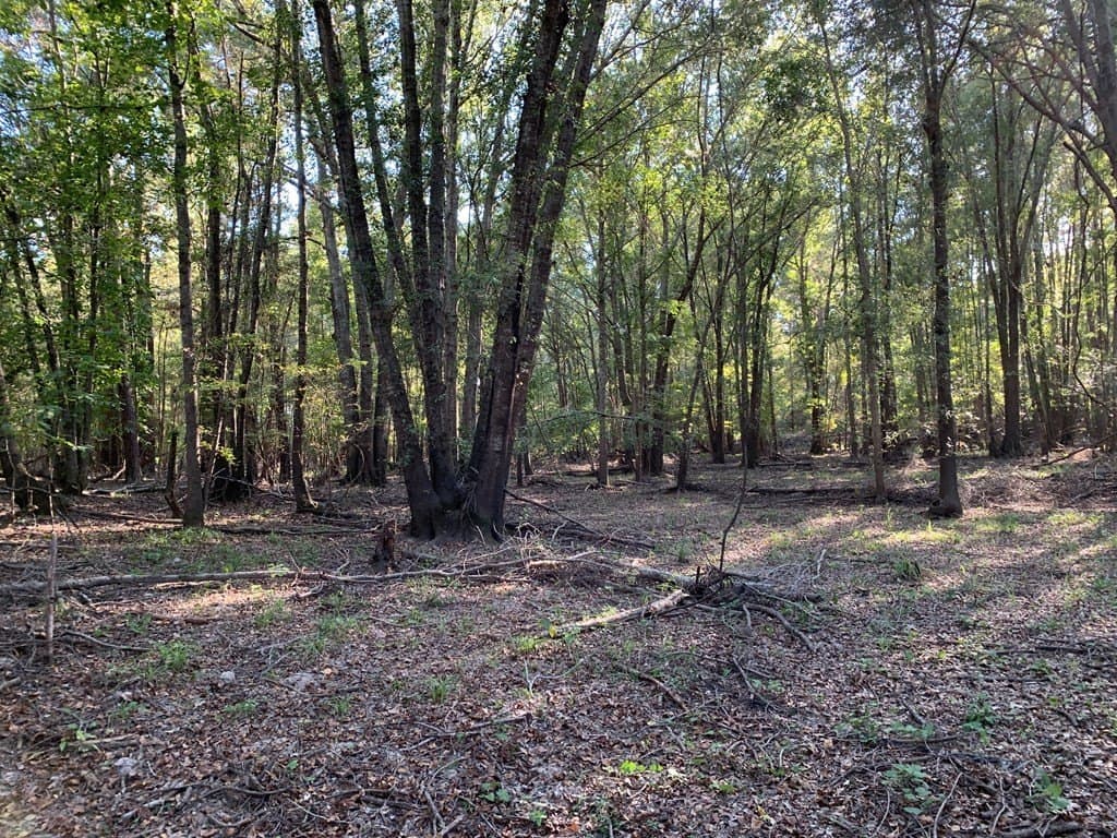 119.5 acres in HENDERSON County - photo 48
