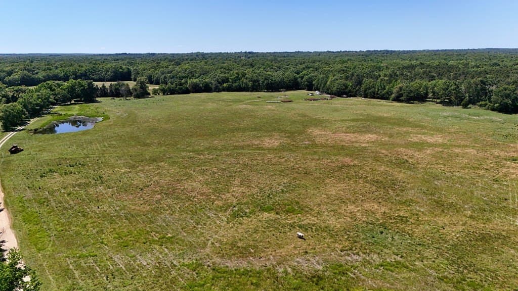 119.5 acres in HENDERSON County - photo 36