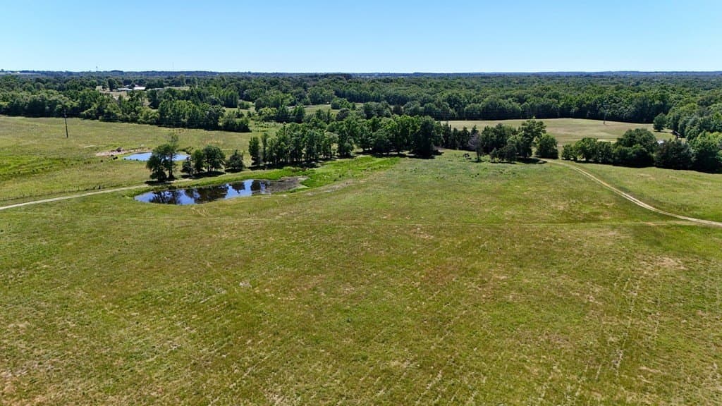 119.5 acres in HENDERSON County - photo 37