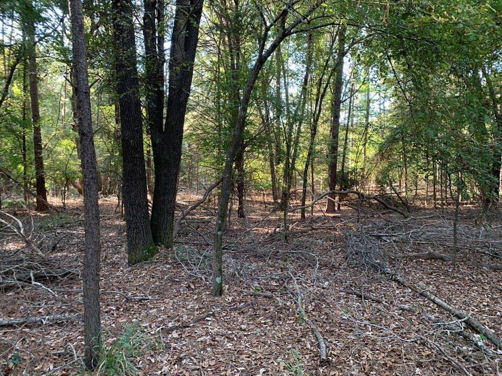 119.5 acres in HENDERSON County - photo 45