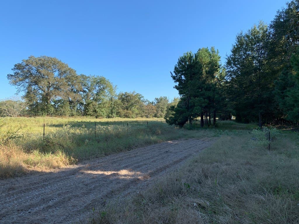 119.5 acres in HENDERSON County - photo 43