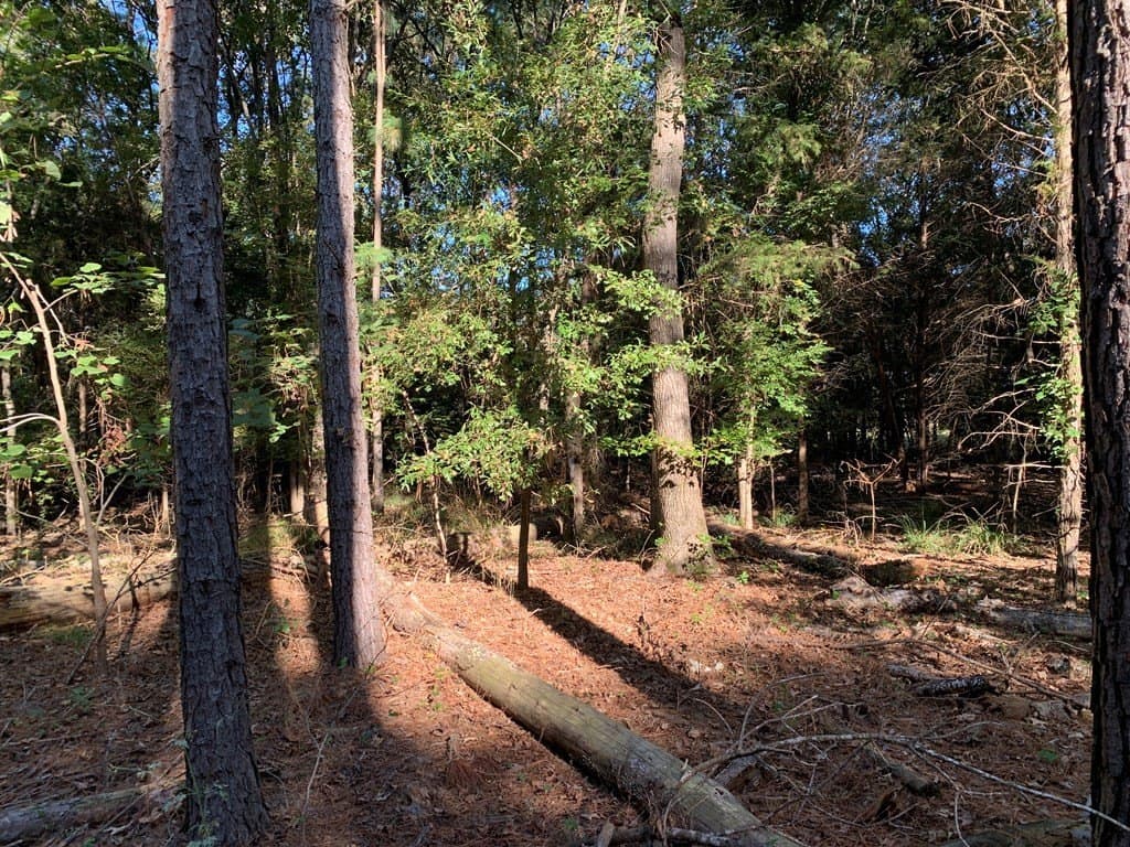 119.5 acres in HENDERSON County - photo 46