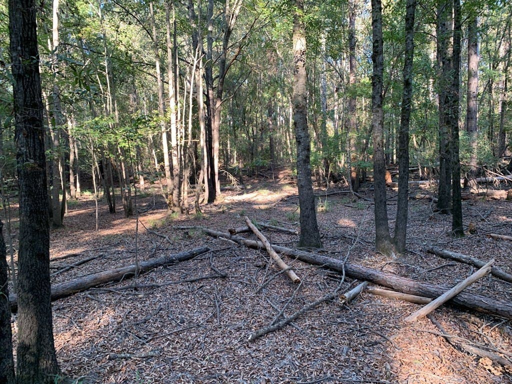 119.5 acres in HENDERSON County - photo 50