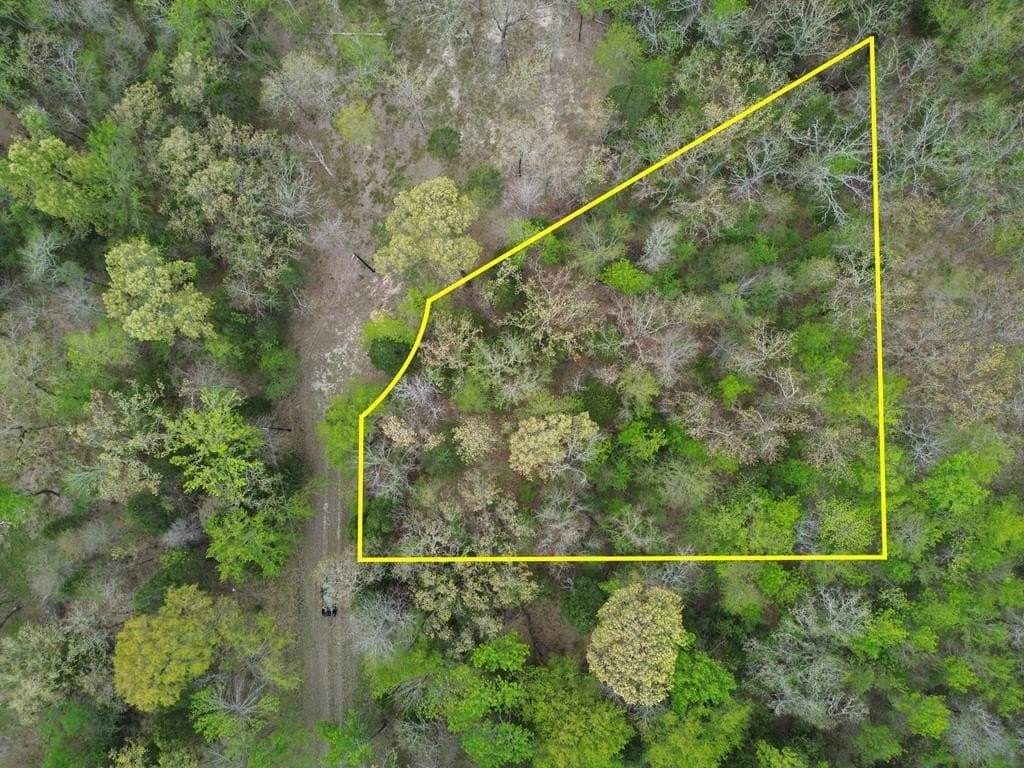 0.35 acres in Henderson County - photo 2