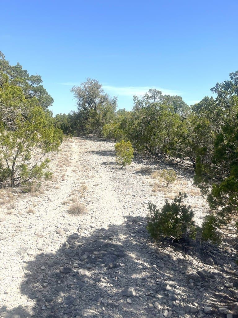 20 acres in Real County gallery image 2