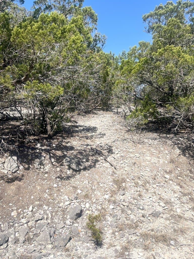 20 acres in Real County gallery image 3