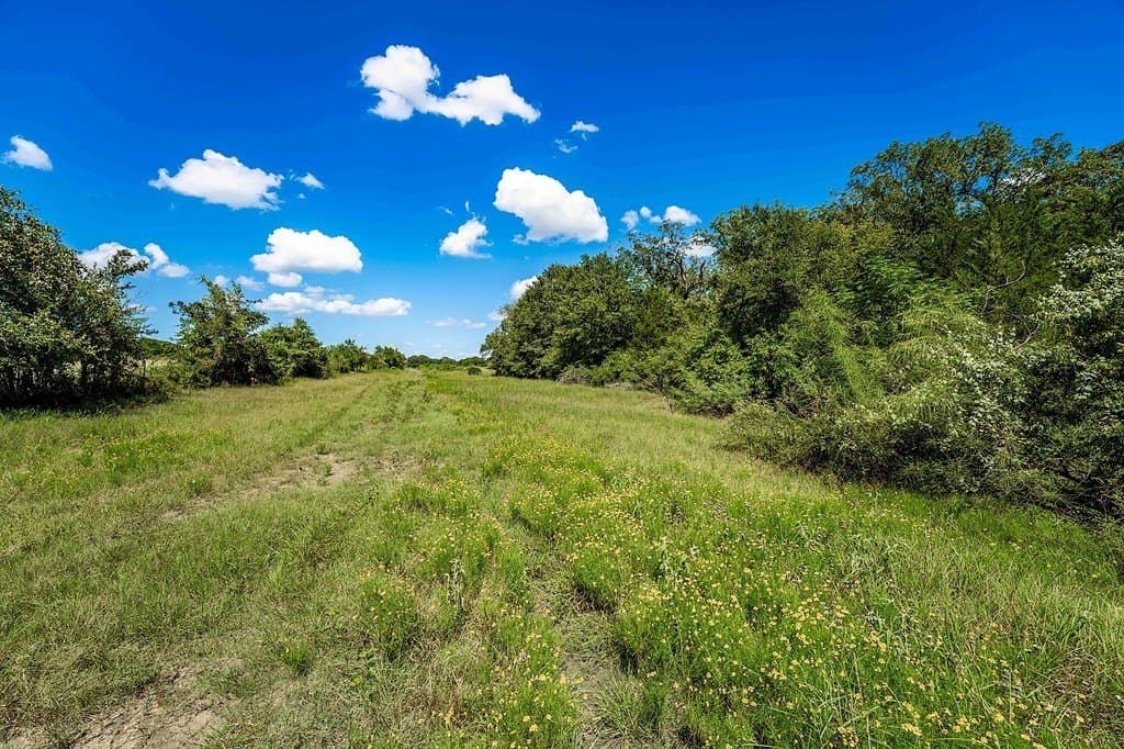 52.16 acres in Colorado County gallery image 3
