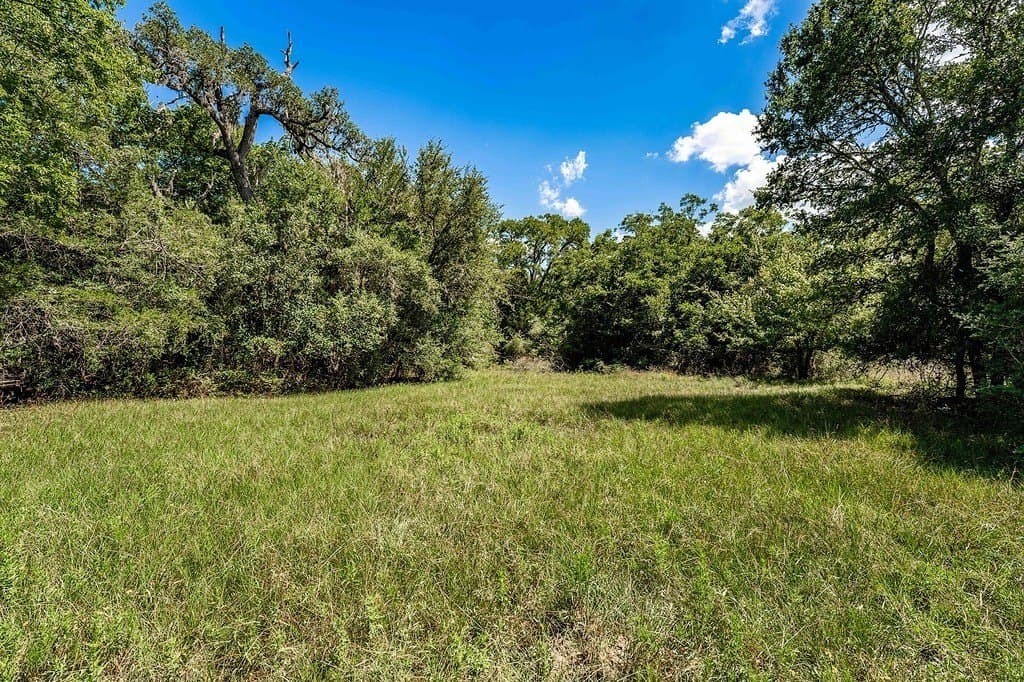 52.16 acres in Colorado County gallery image 4