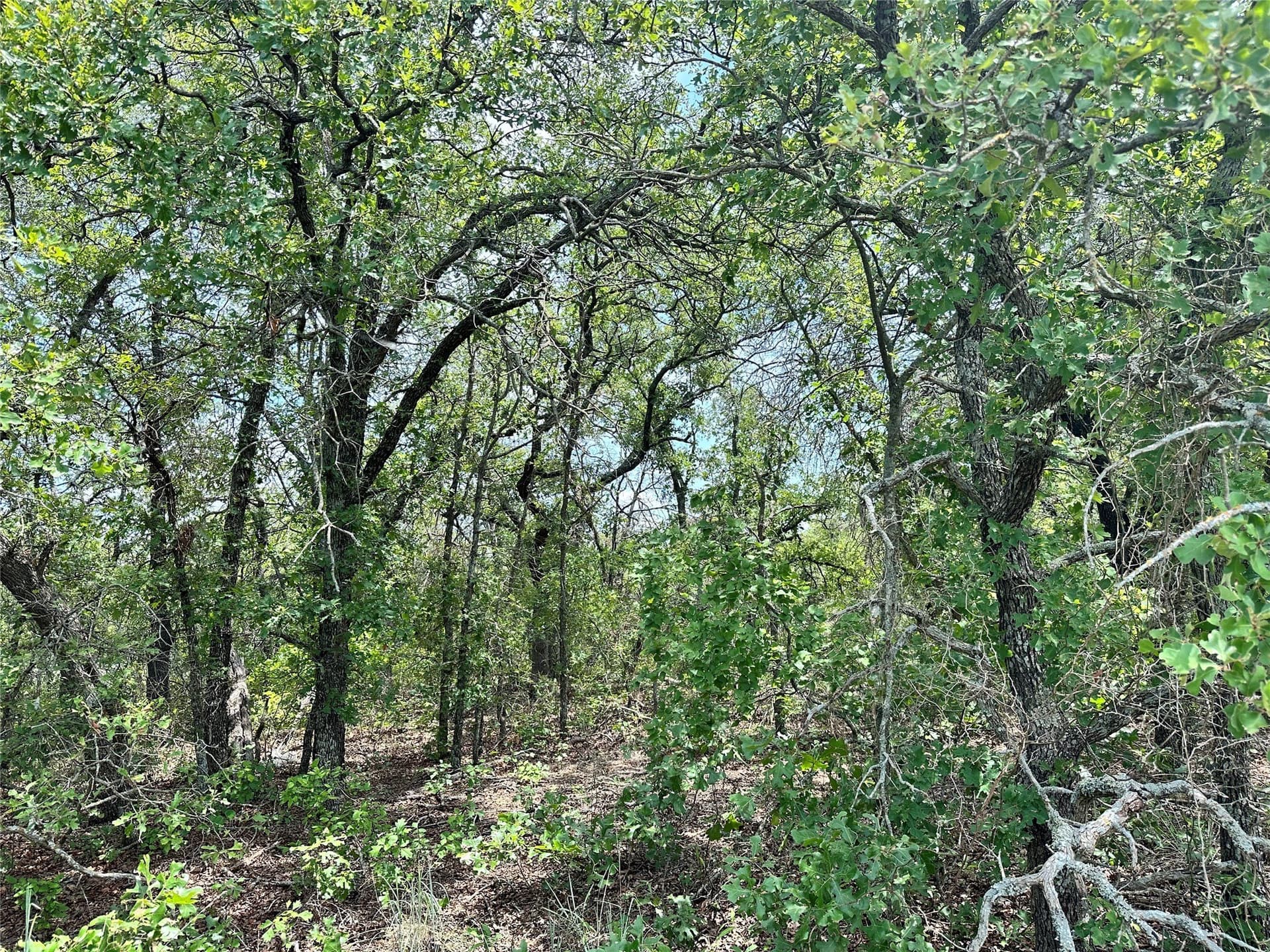 16.34 acres in Eastland County - photo 13