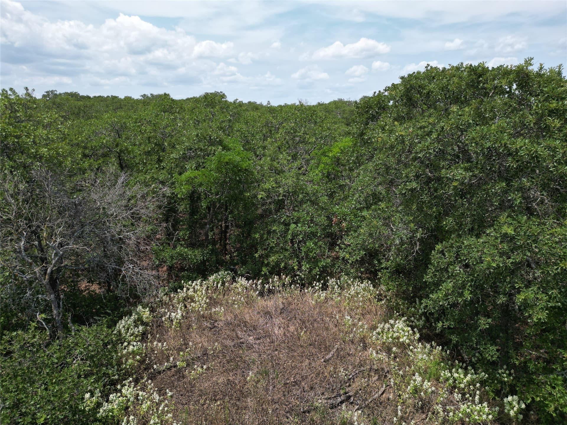 16.34 acres in Eastland County - photo 17