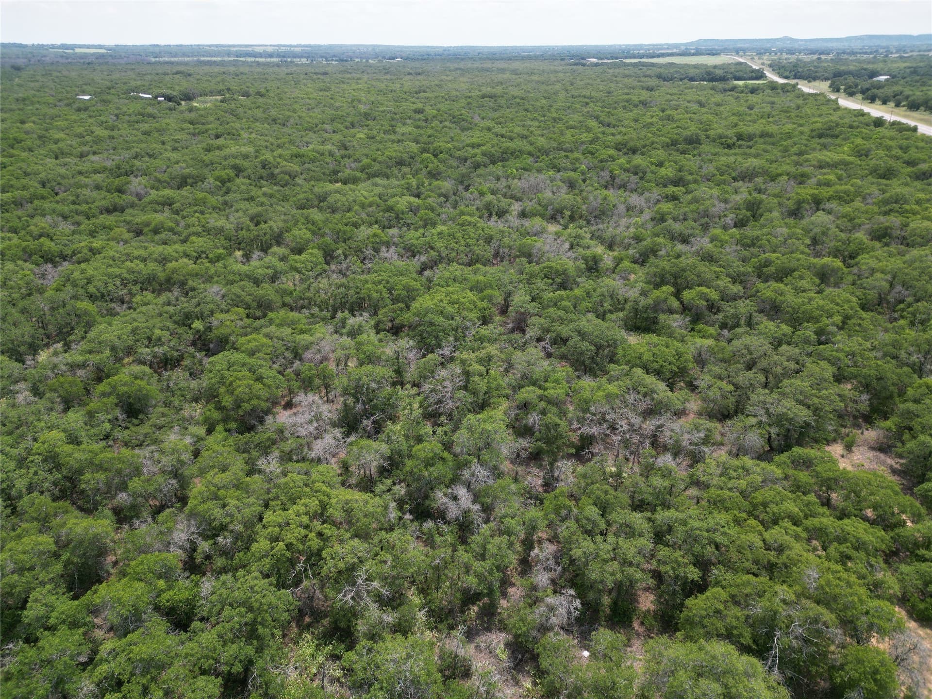 16.34 acres in Eastland County - photo 12