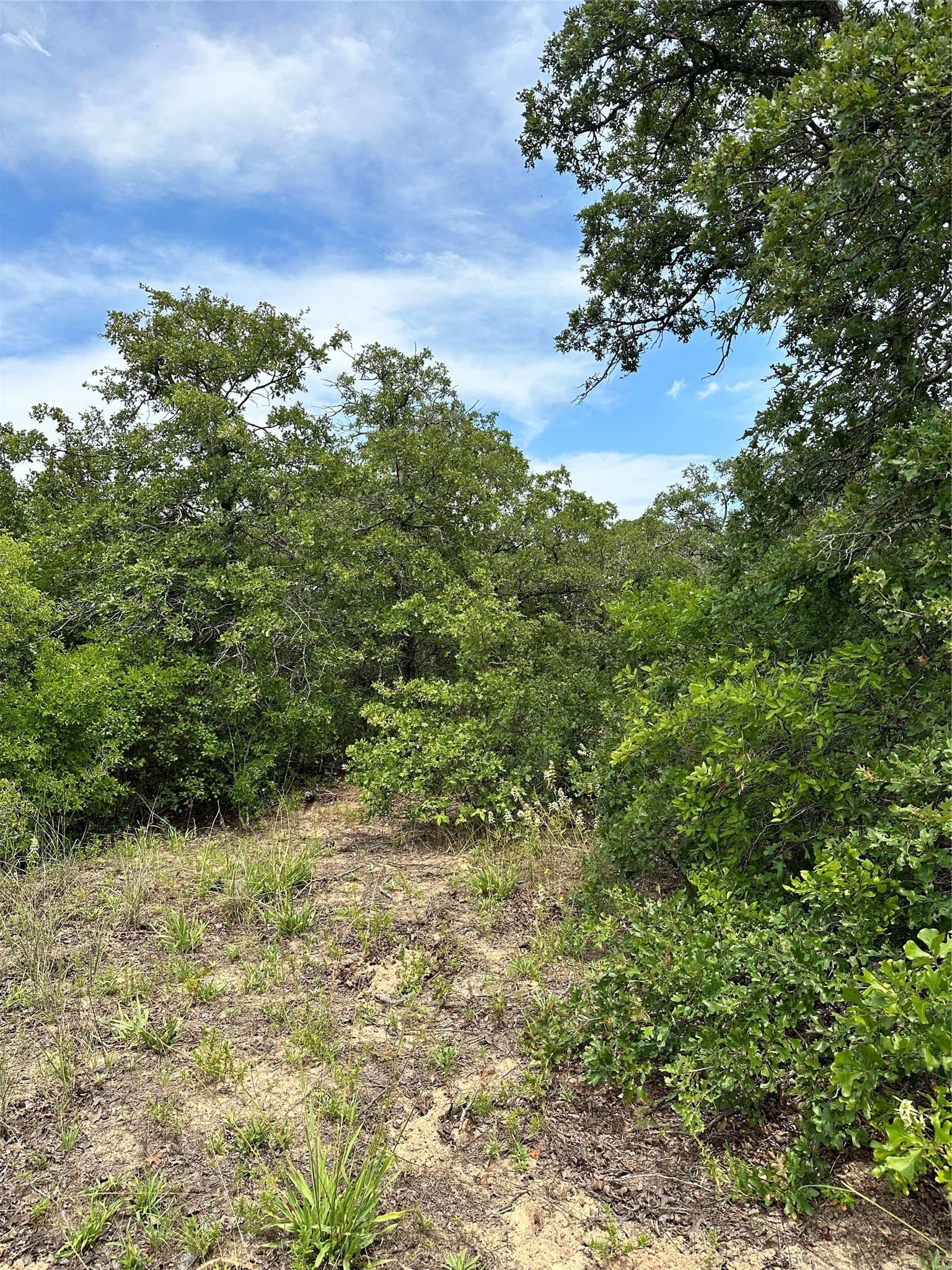 16.34 acres in Eastland County - photo 6