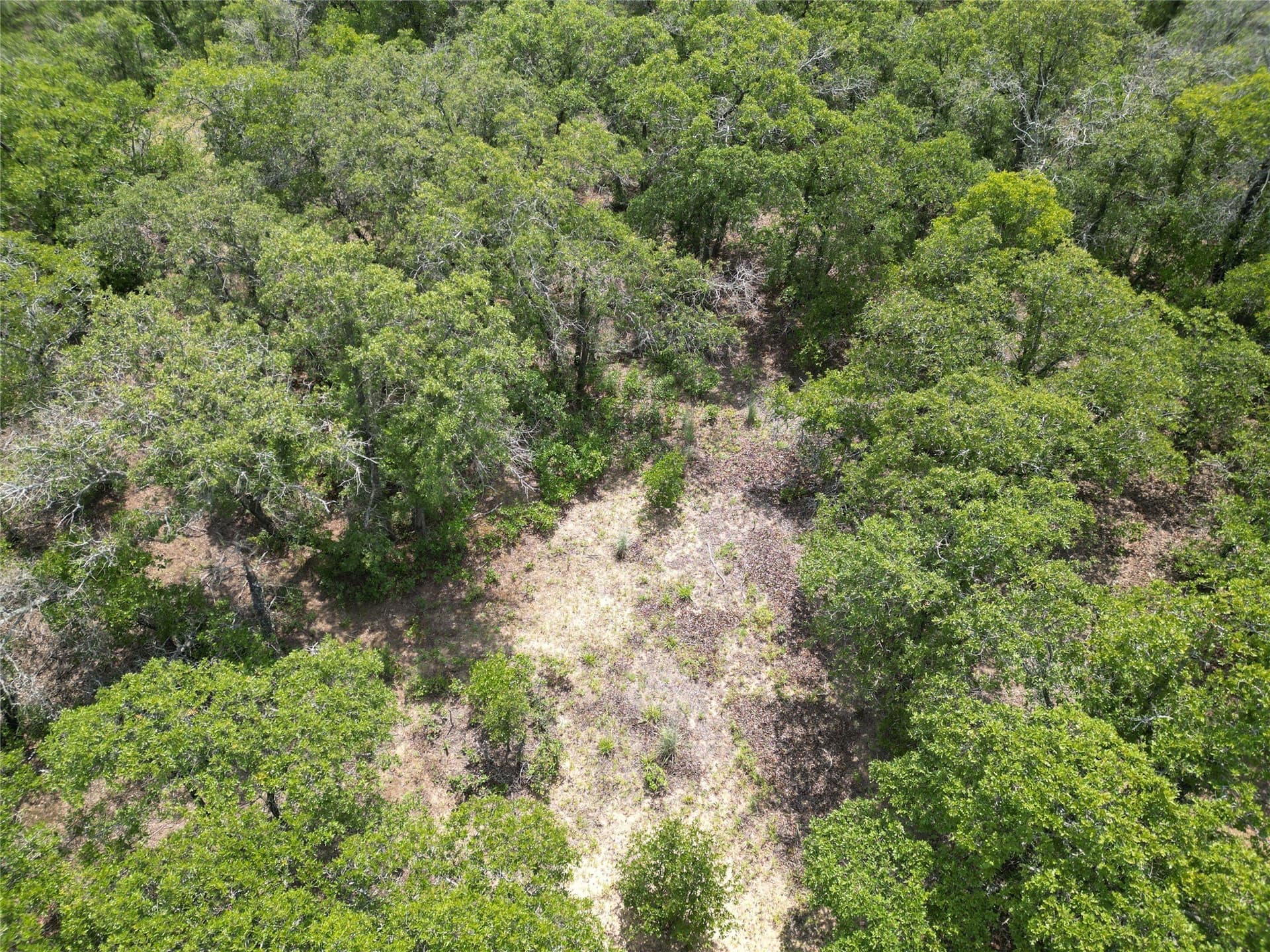 16.34 acres in Eastland County - photo 15