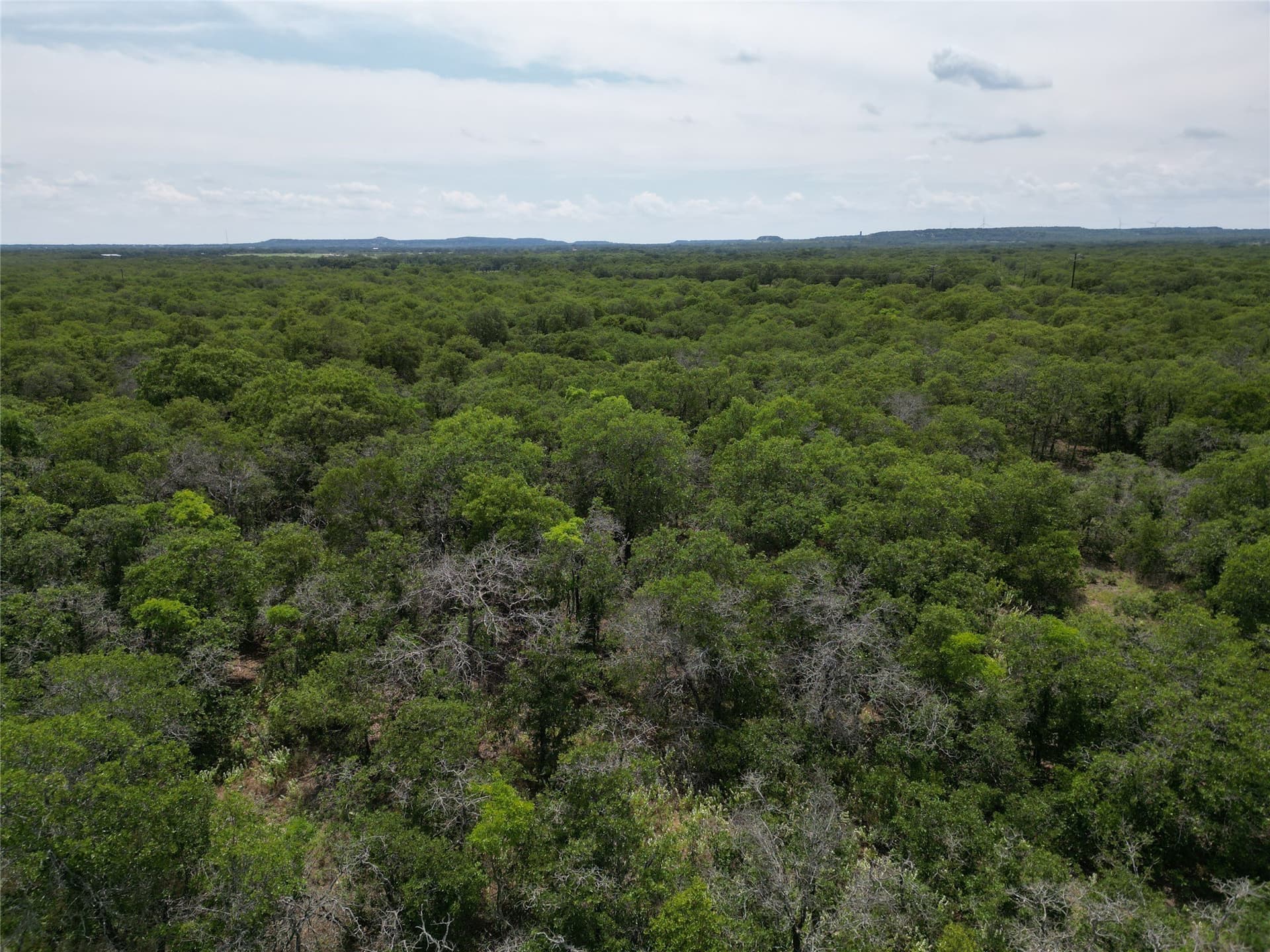 16.34 acres in Eastland County - photo 16
