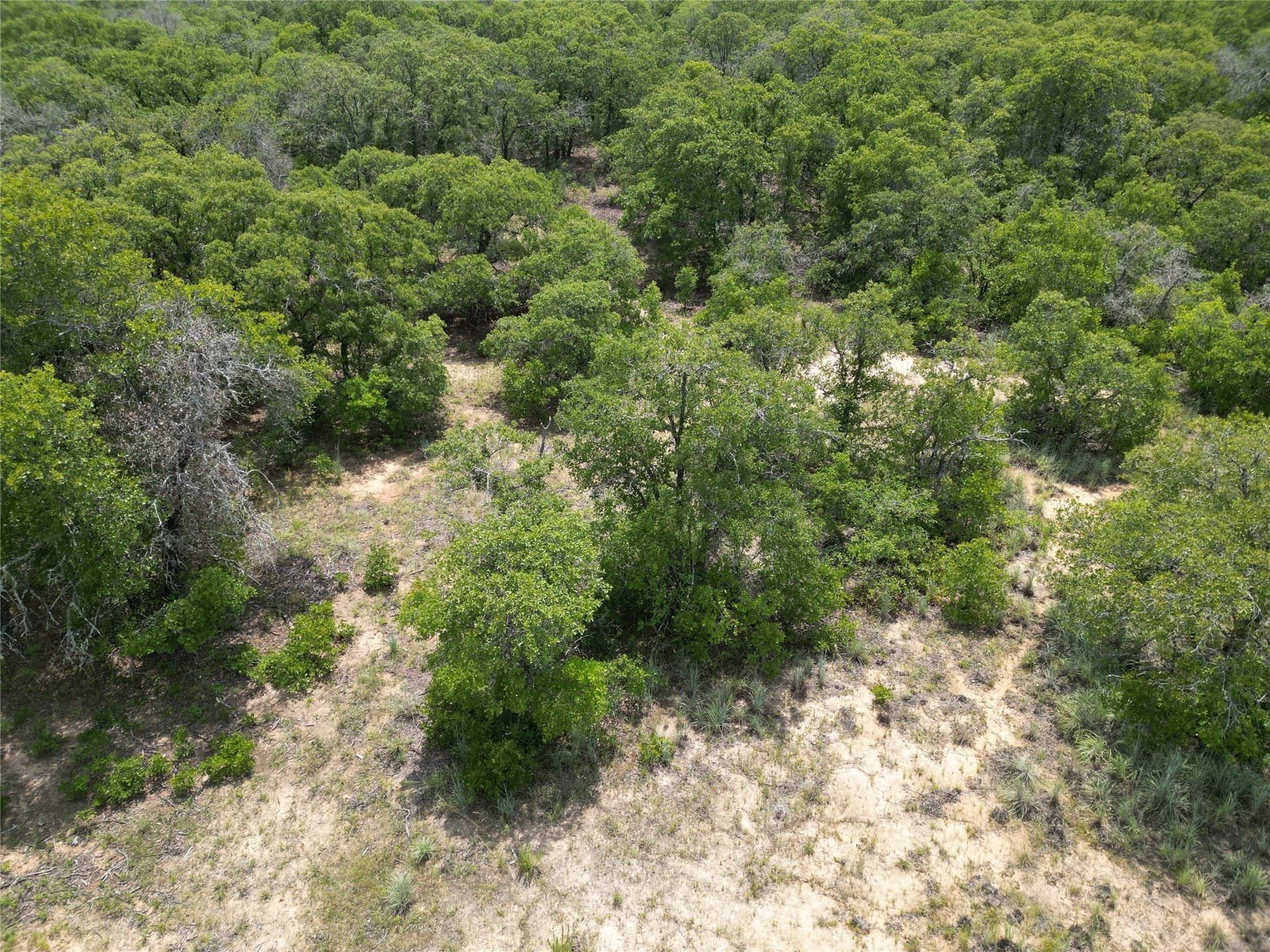 16.34 acres in Eastland County - photo 18
