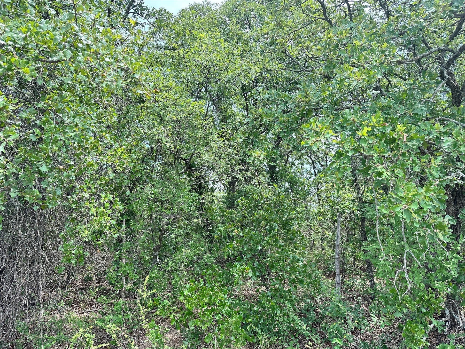 16.34 acres in Eastland County - photo 19