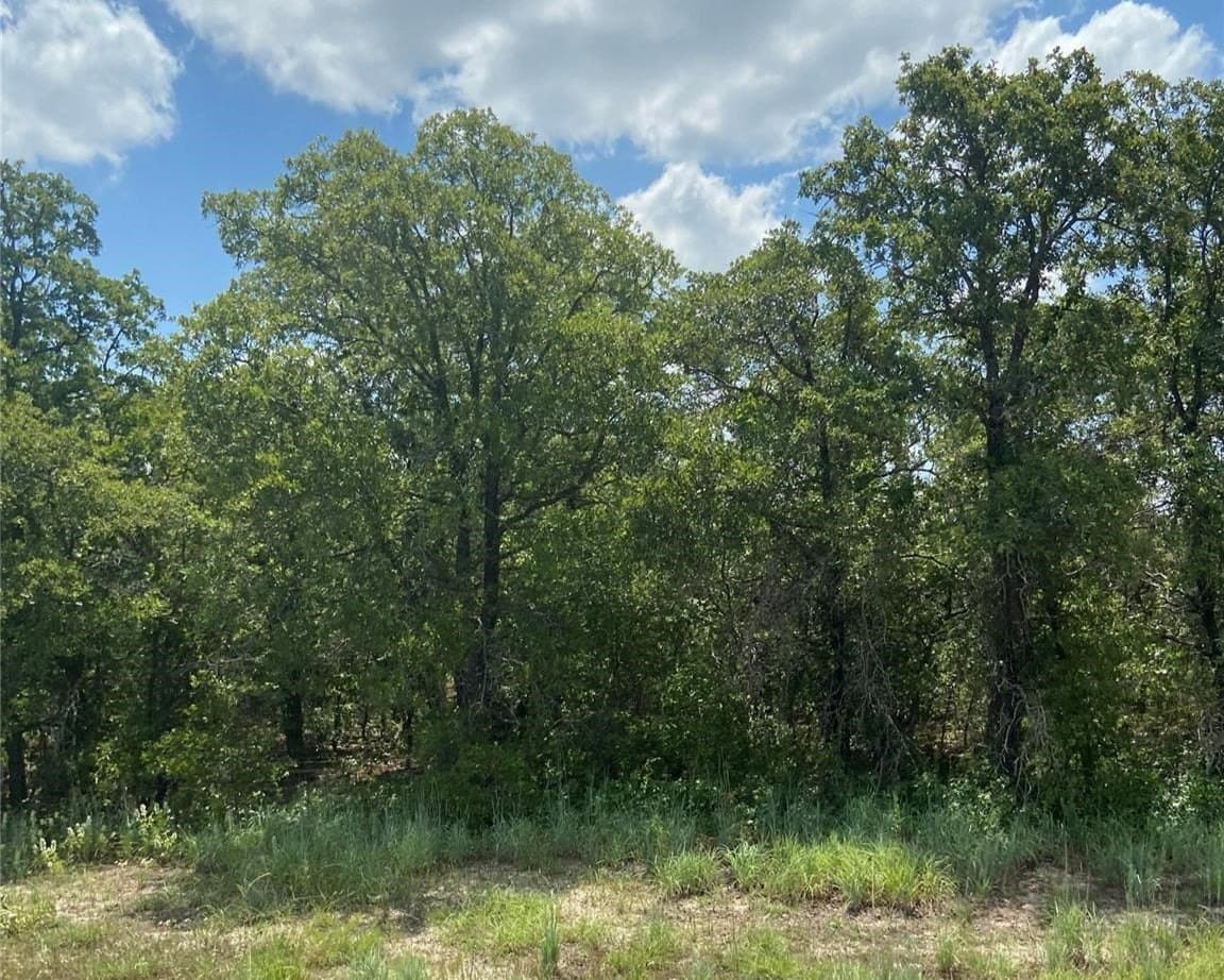 16.34 acres in Eastland County - photo 7