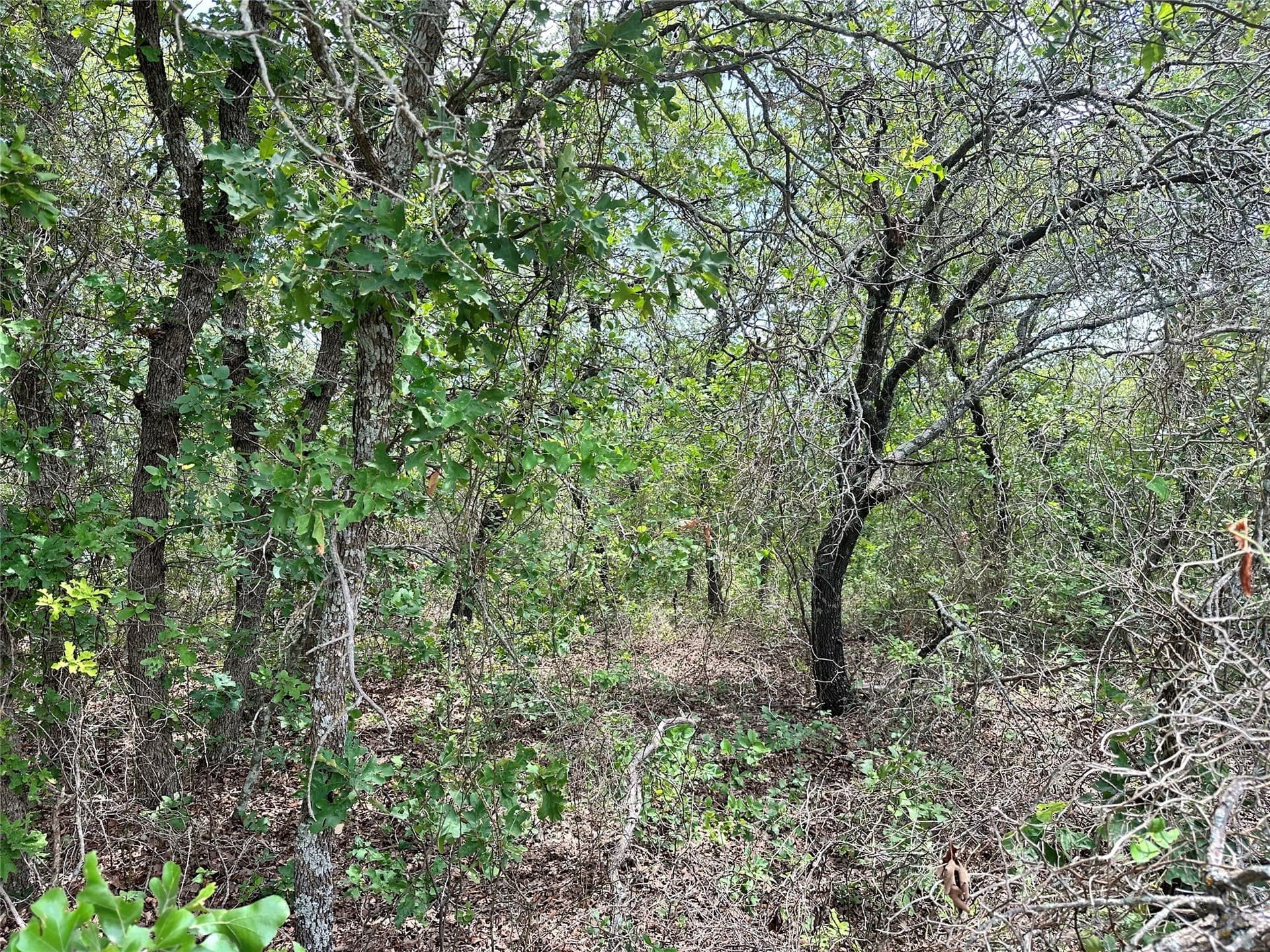 16.34 acres in Eastland County - photo 20