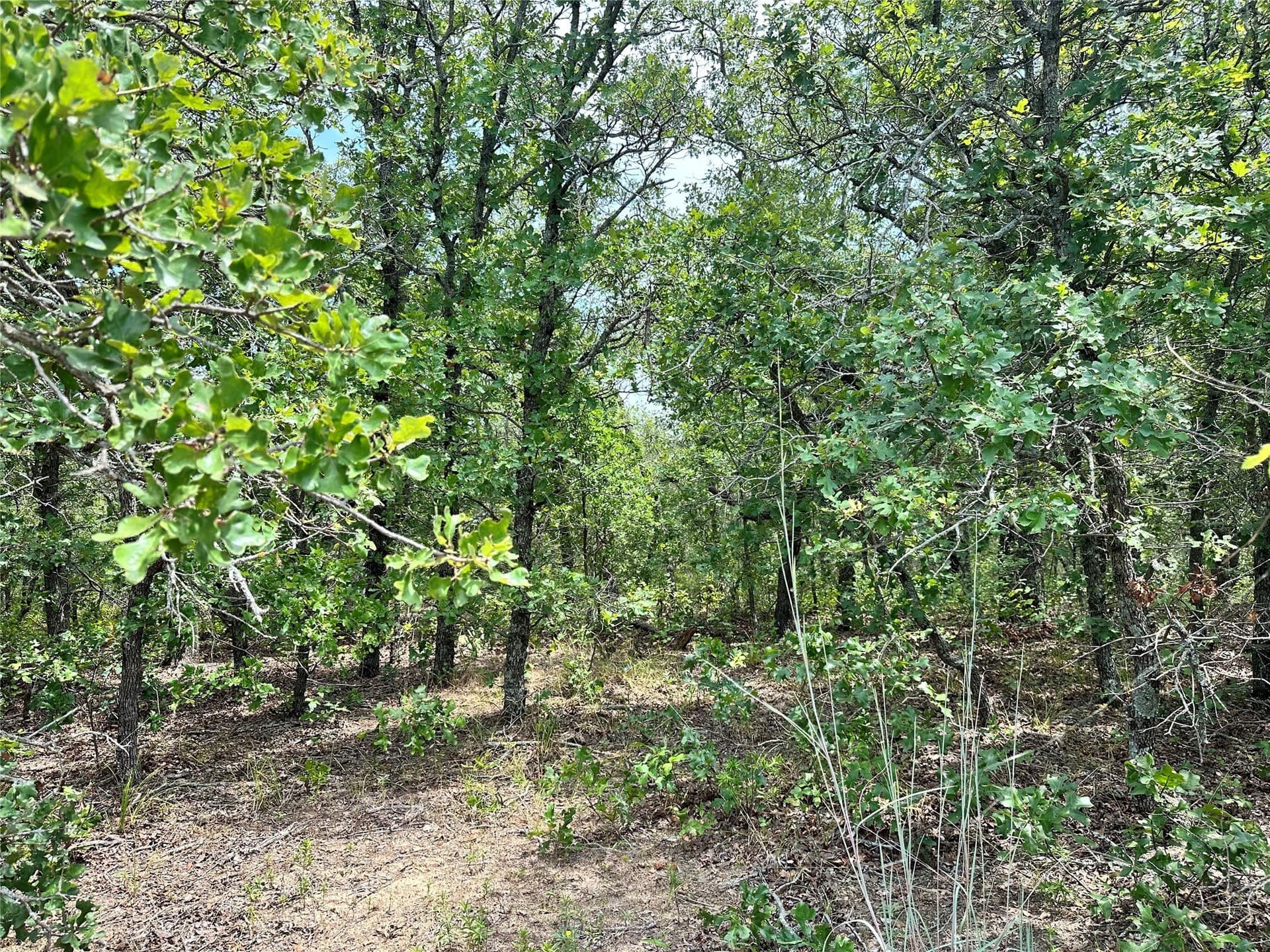 16.34 acres in Eastland County - photo 21