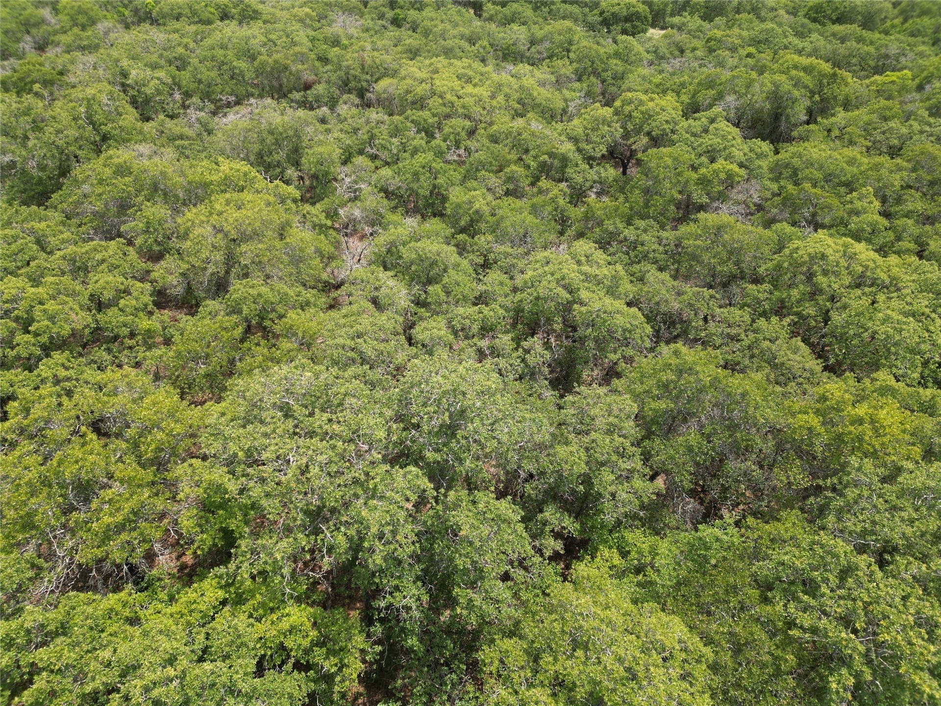 16.34 acres in Eastland County - photo 22