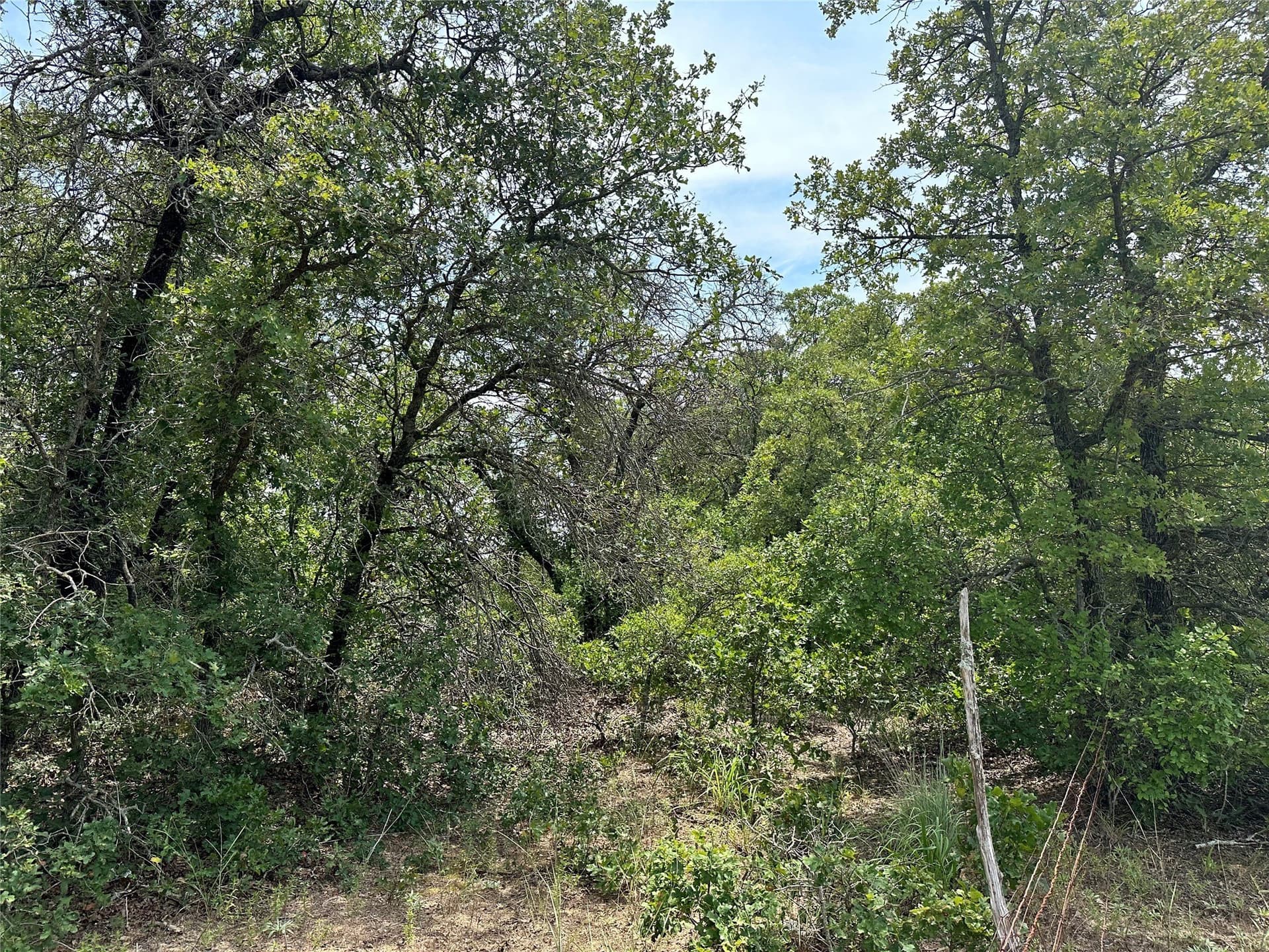 16.34 acres in Eastland County - photo 23