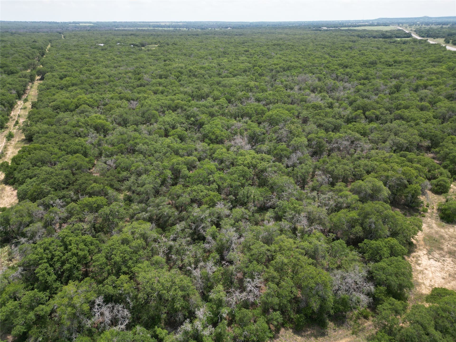 16.34 acres in Eastland County - photo 10