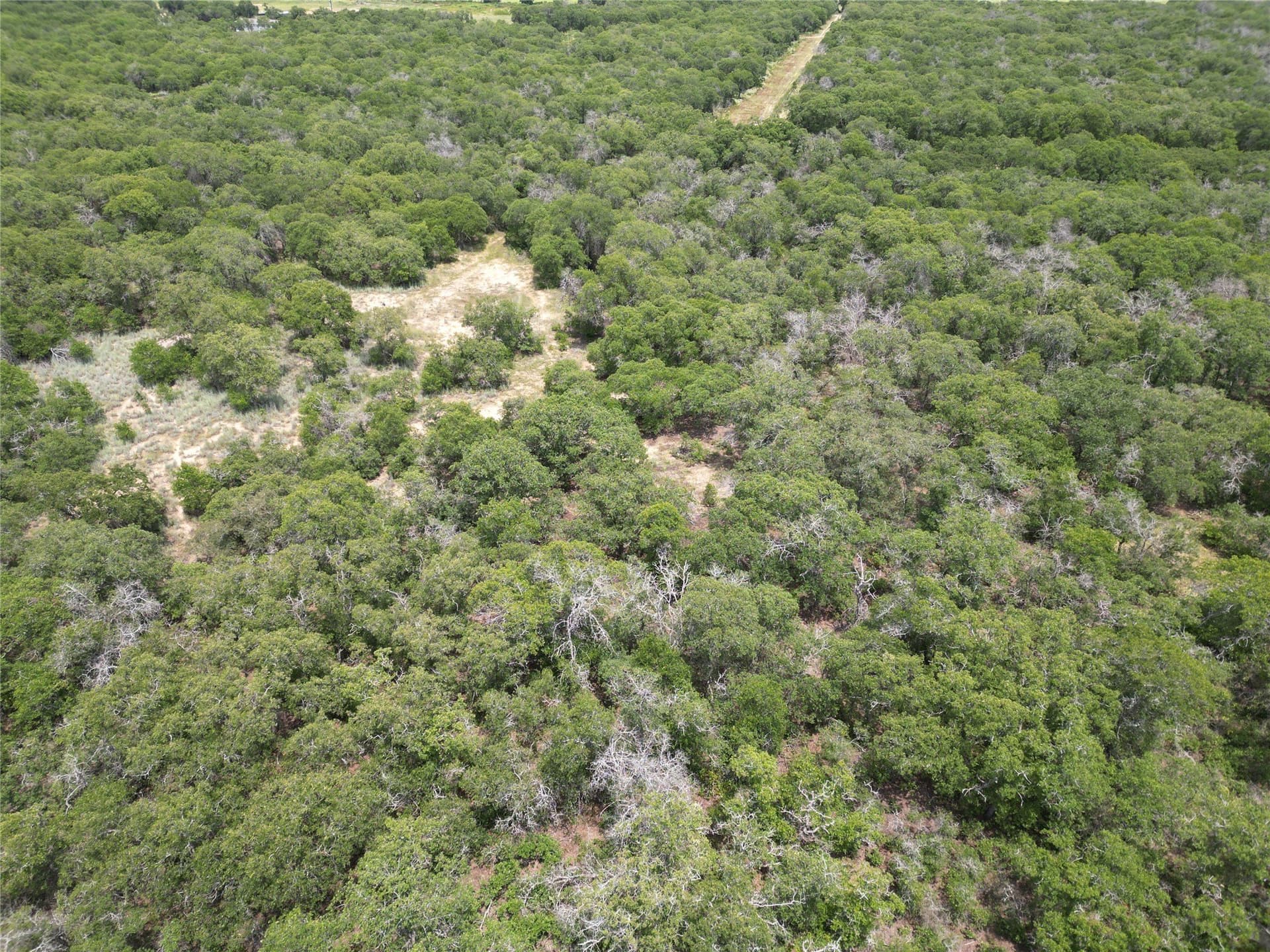 16.34 acres in Eastland County - photo 9