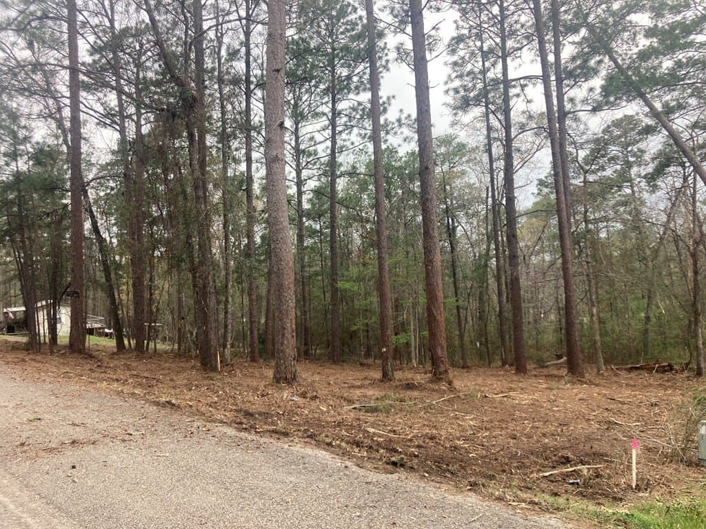 0.15 acres in Texas County gallery image 2