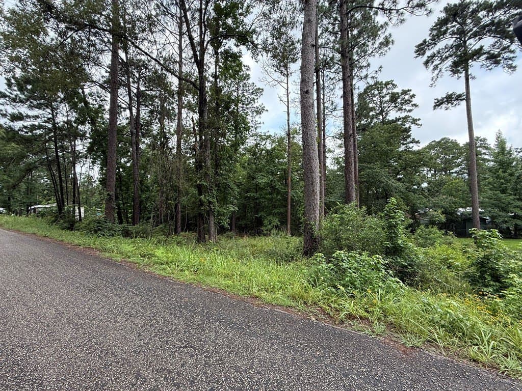 0.15 acres in Texas County - photo 6
