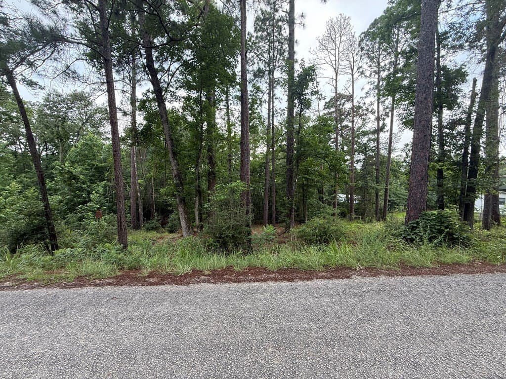 0.15 acres in Texas County gallery image 3