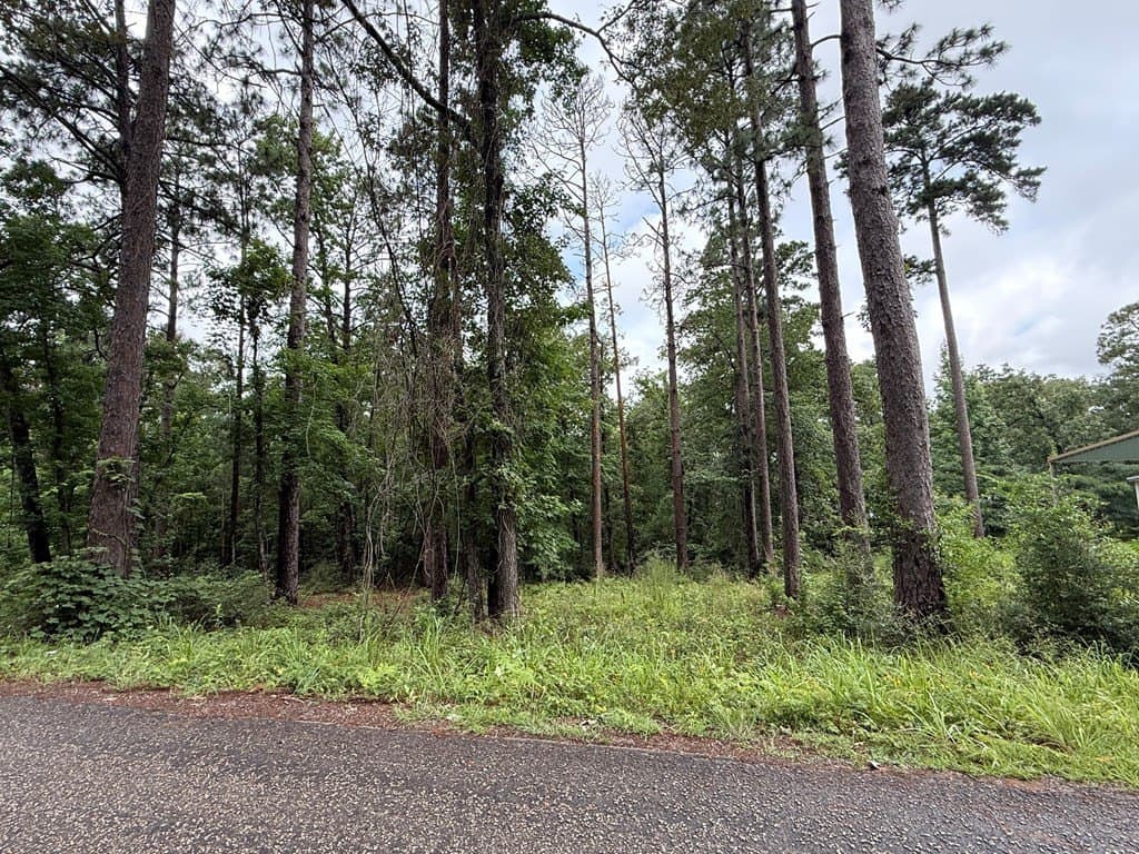0.15 acres in Texas County gallery image 4