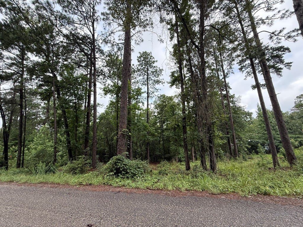 0.15 acres in Texas County featured view