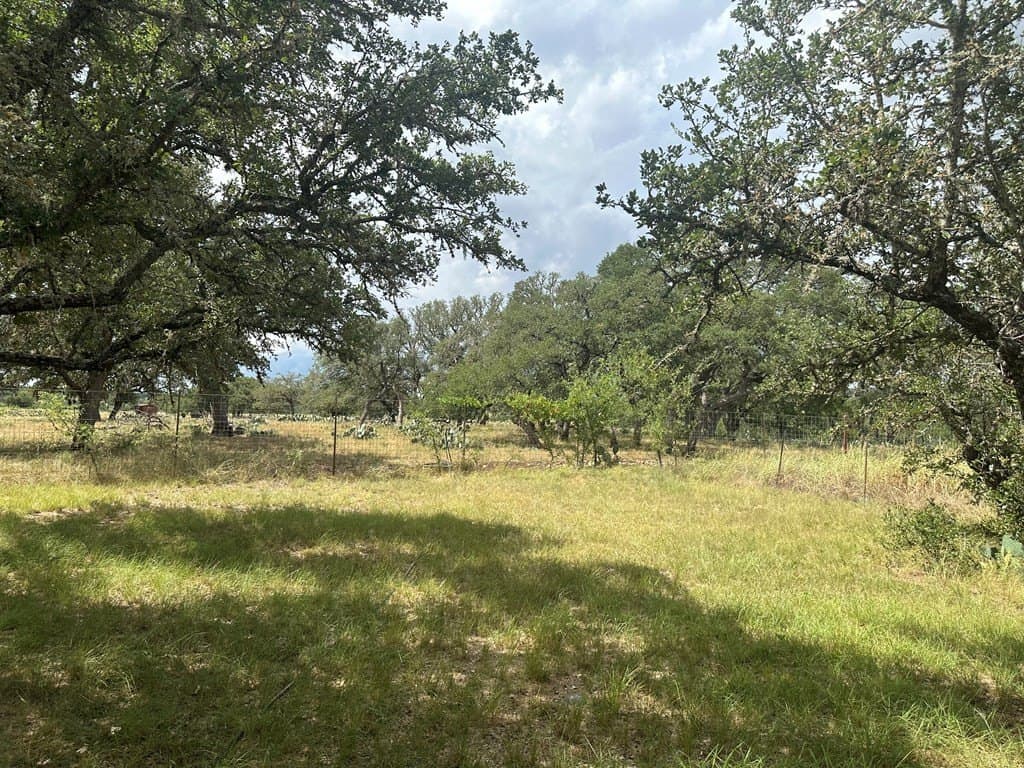 205.56 acres in Kerr County - photo 19
