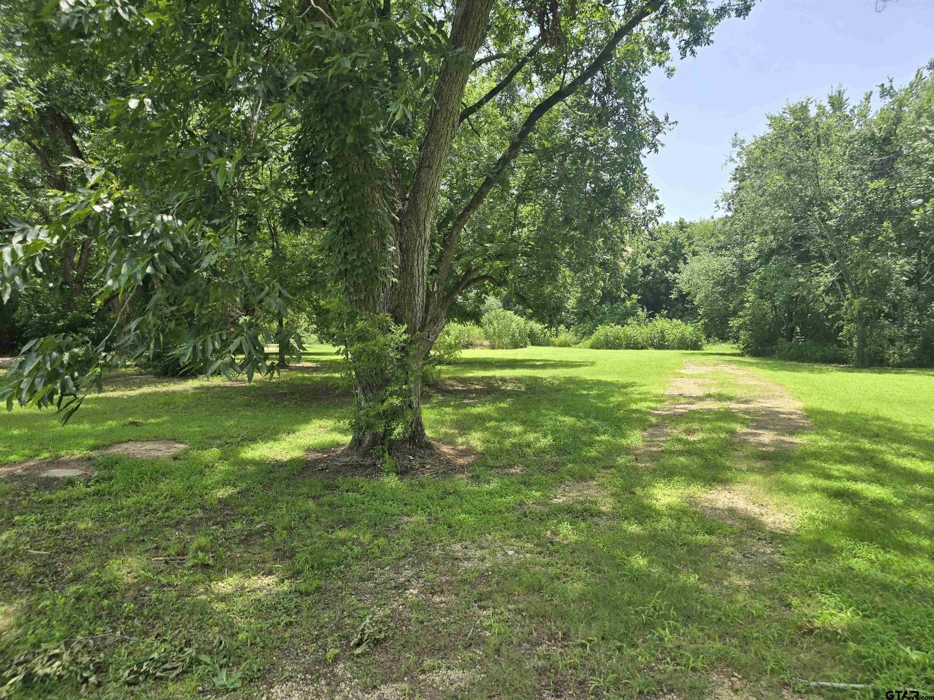 4 acres in Camp County gallery image 2