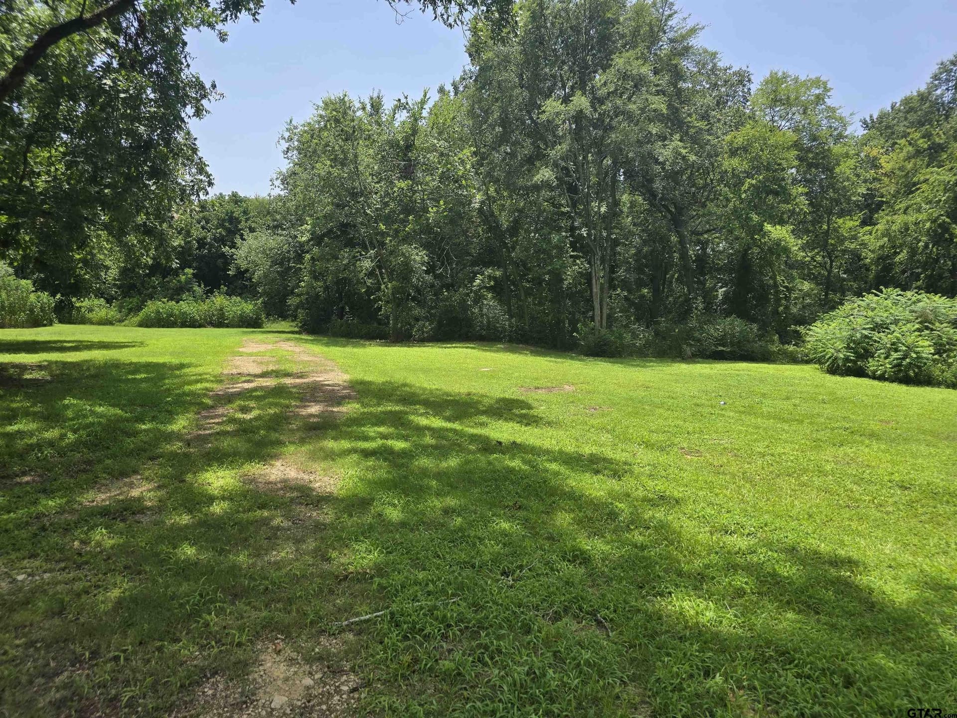 4 acres in Camp County gallery image 3