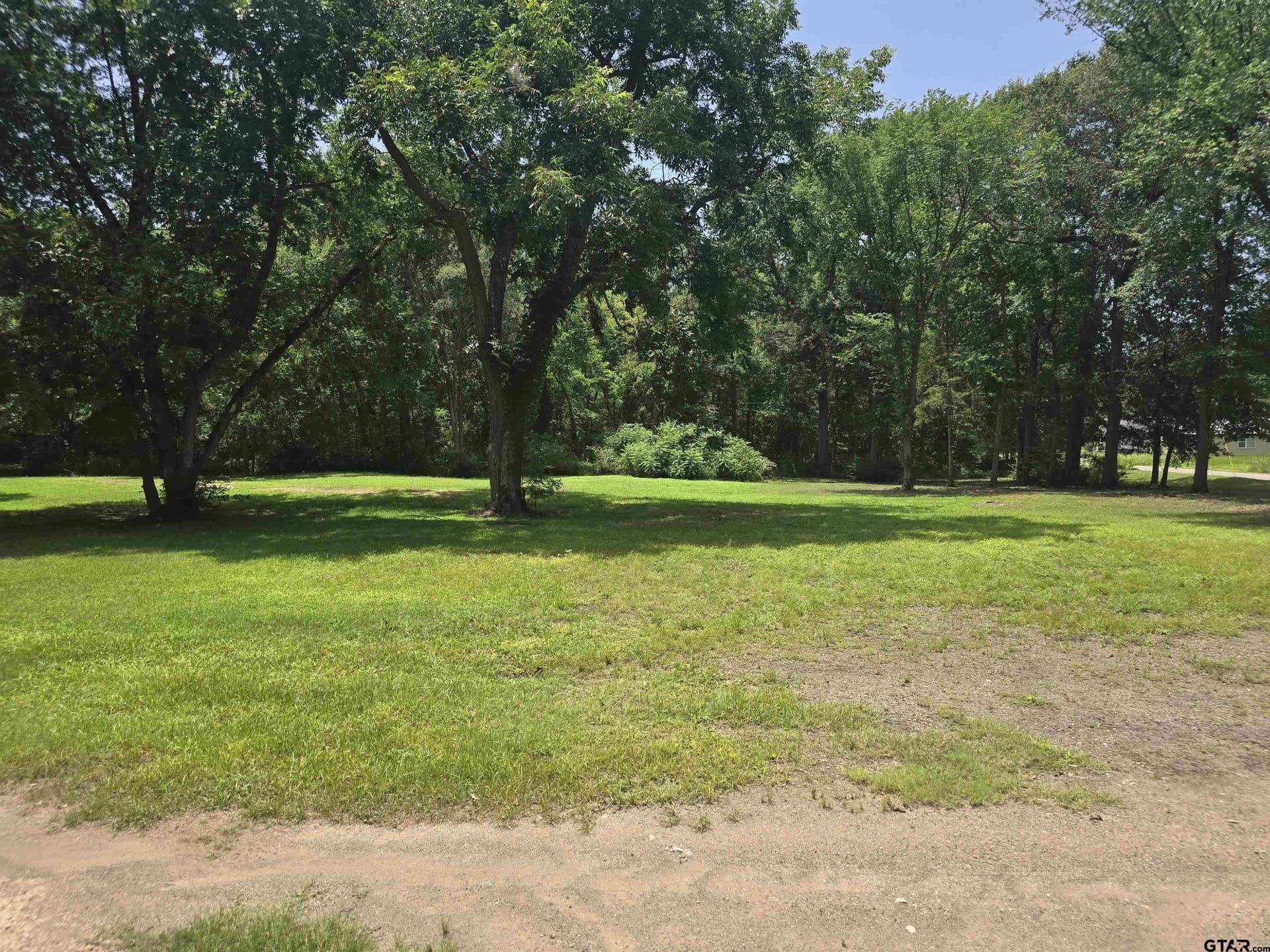 4 acres in Camp County featured view