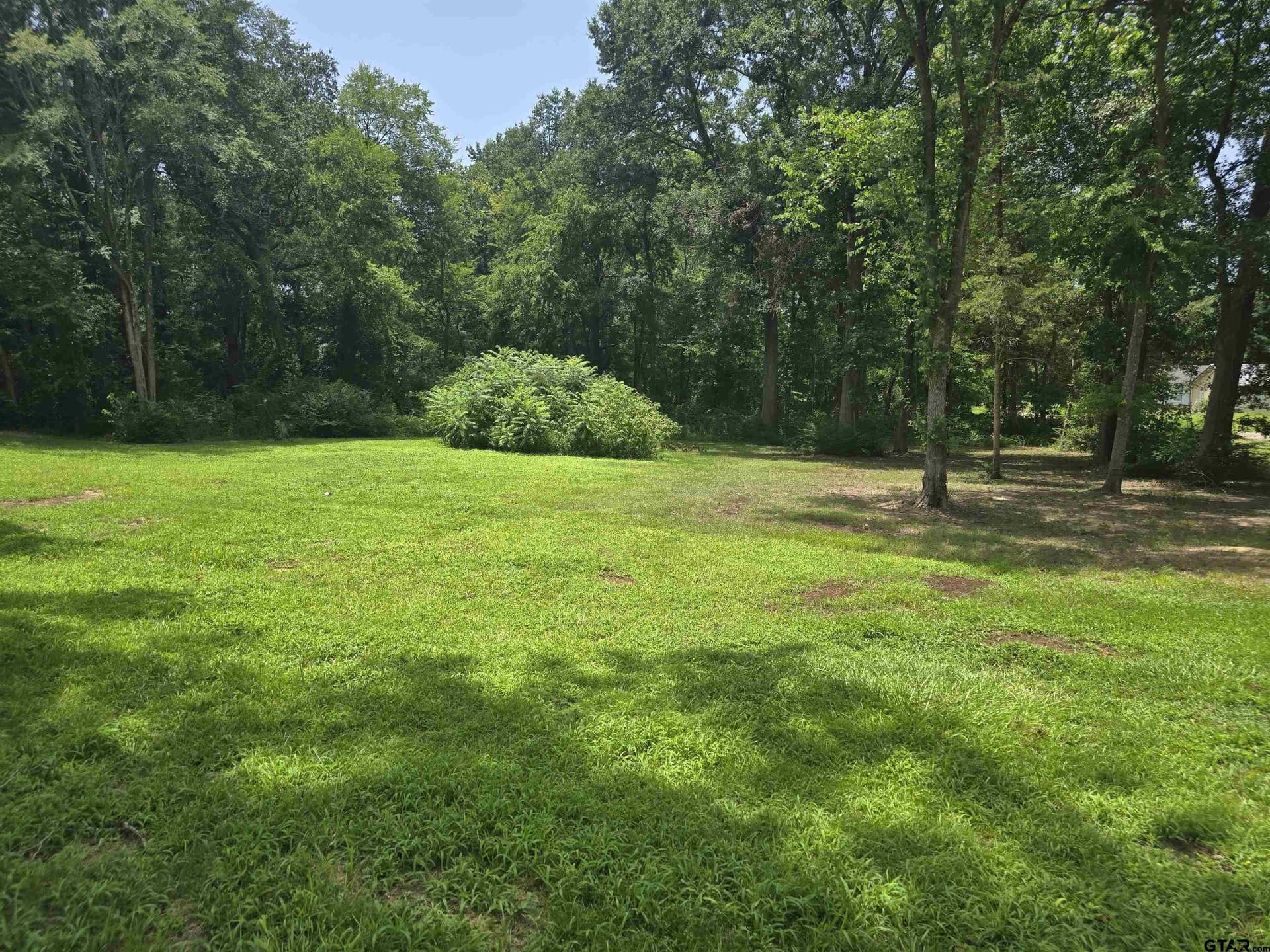 4 acres in Camp County gallery image 4