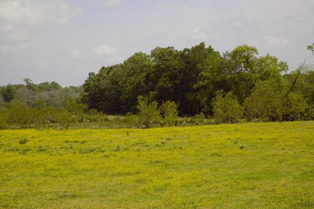 125.75 acres in Texas County - photo 4