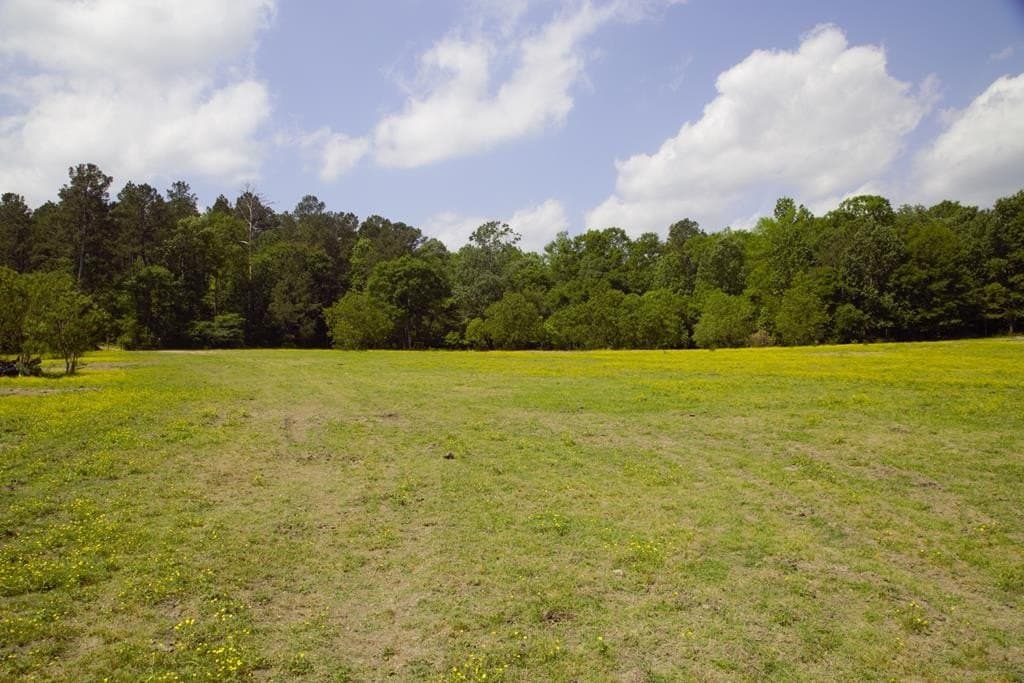 125.75 acres in Texas County - photo 5
