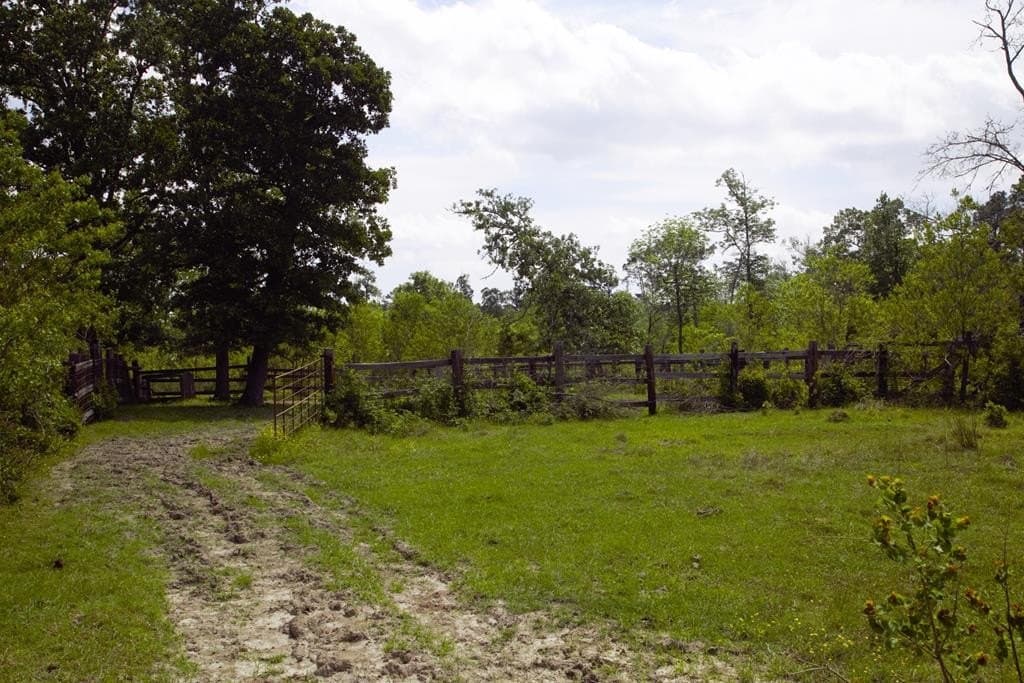 125.75 acres in Texas County - photo 7