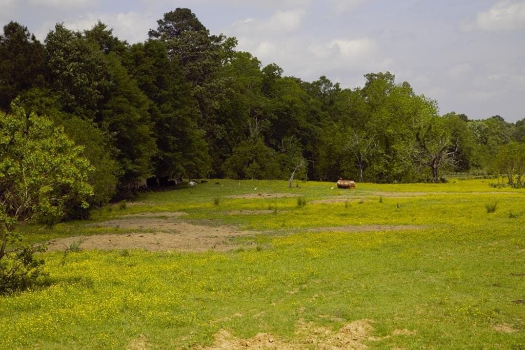 125.75 acres in Texas County - photo 2