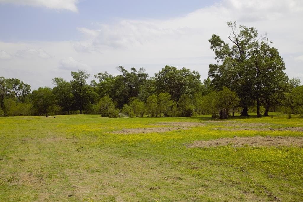 125.75 acres in Texas County - photo 3