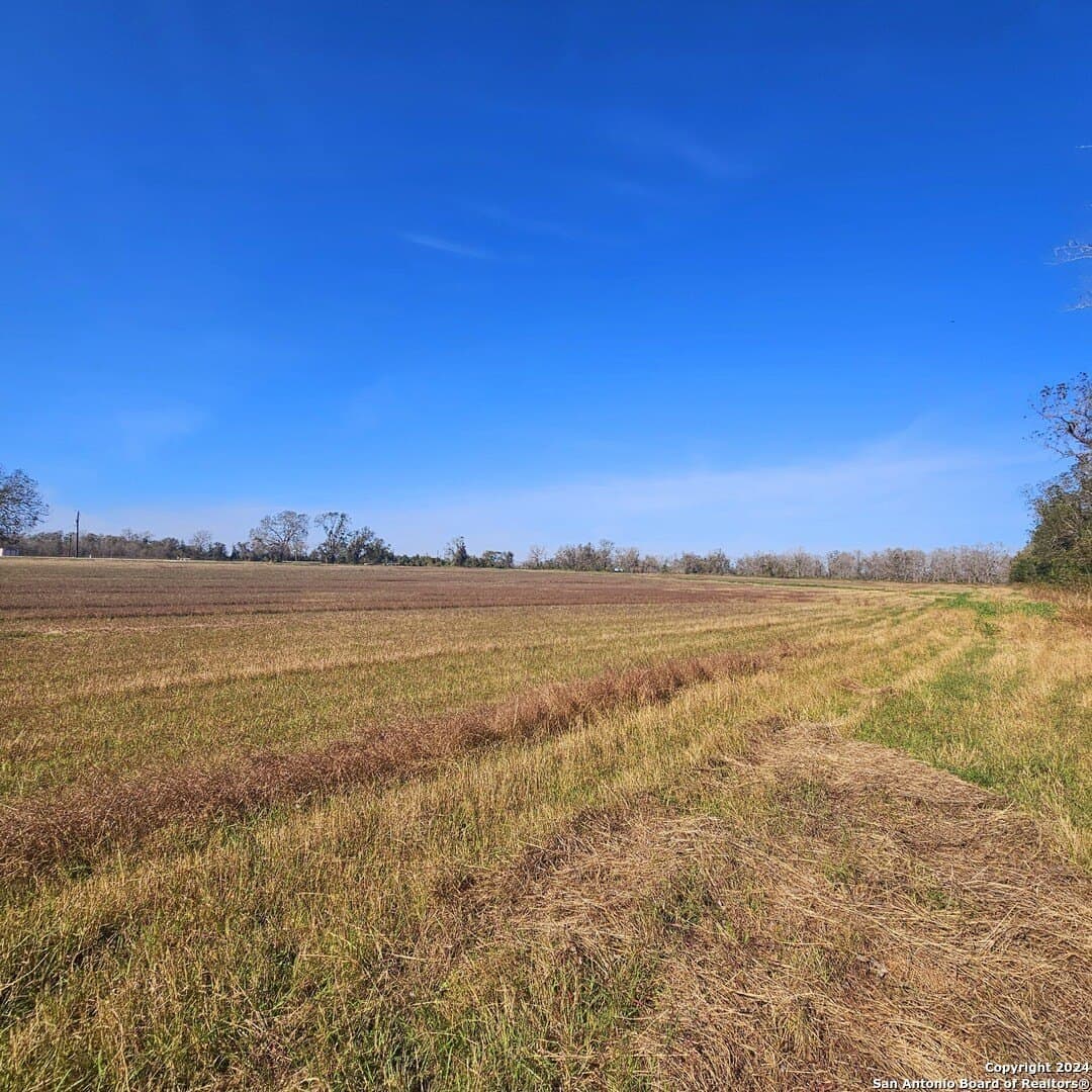 11 acres in Wharton County - photo 10